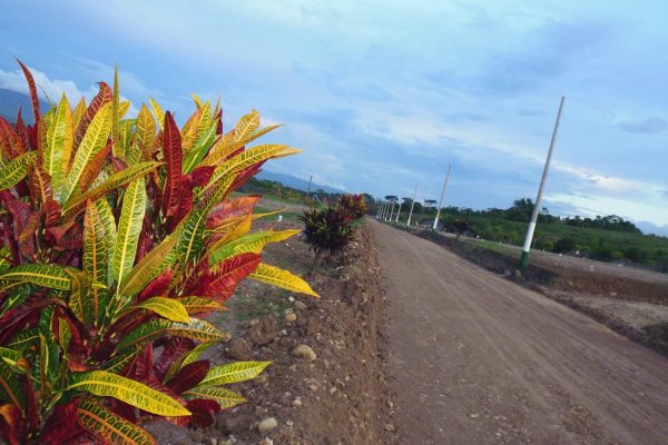 Tarapoto